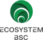 Ecosystem BSC